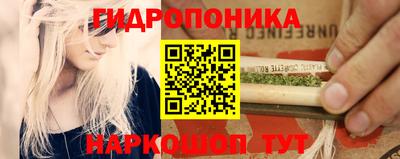 трава Пугачёв