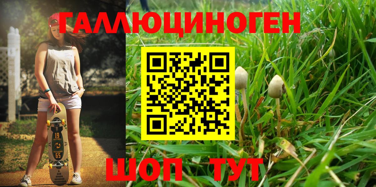 Псилоцибиновые грибы Magic Shrooms Феодосия