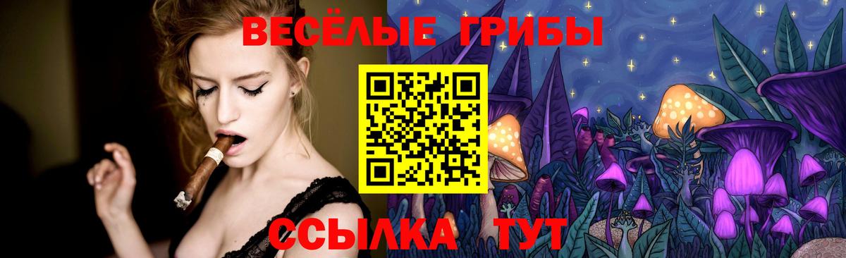 что такое   Псилоцибиновые грибы прущие грибы  Вход с VPN  Феодосия 